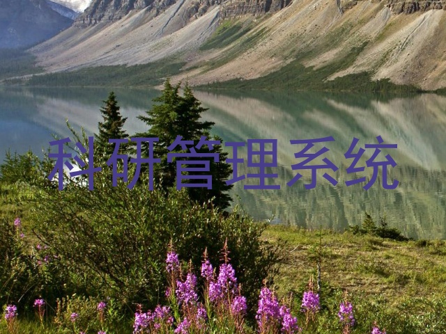 科研管理系统
