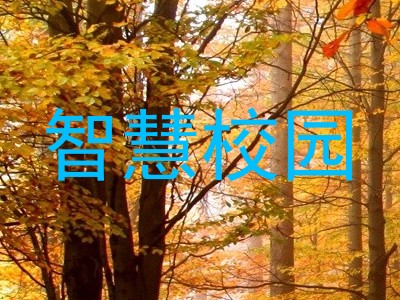 智慧校园