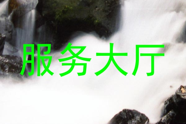 服务大厅