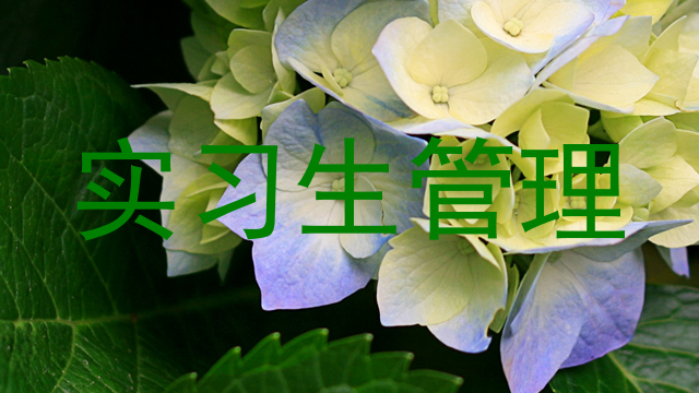 实习生管理