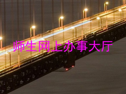 师生网上办事大厅