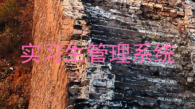 实习生管理系统
