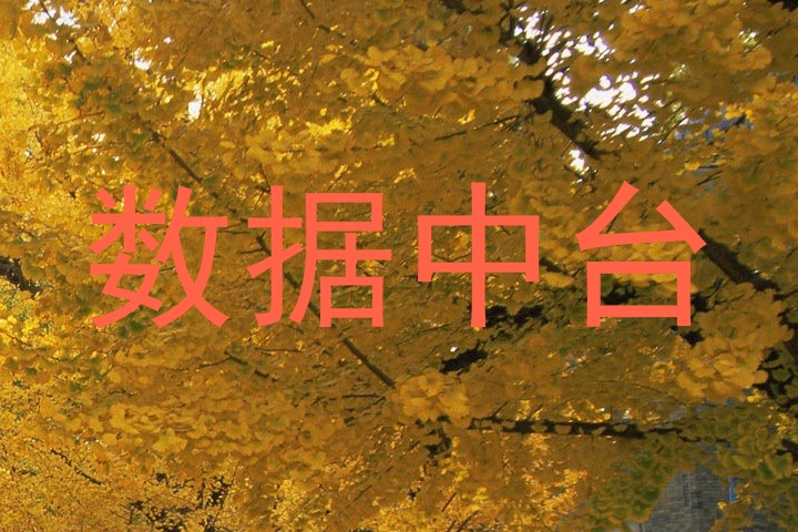 数据中台