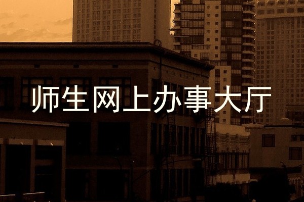 师生网上办事大厅