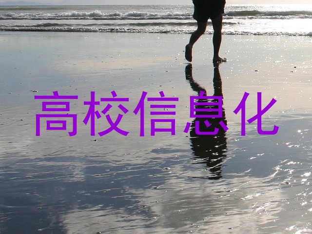 高校信息化