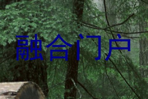 融合门户
