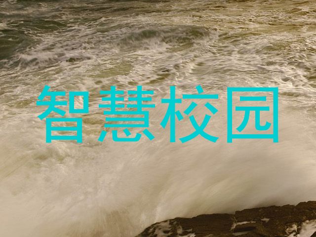 智慧校园