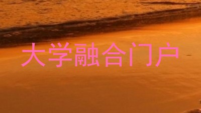 大学融合门户