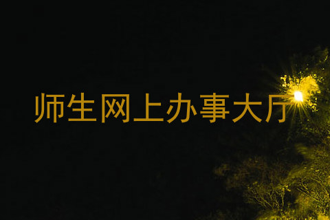 师生网上办事大厅