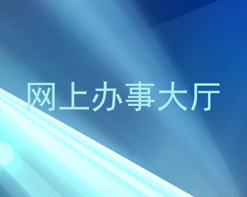 网上办事大厅