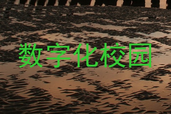 数字化校园