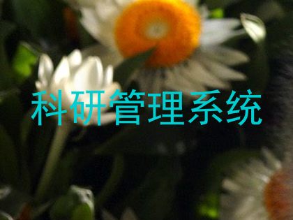 科研管理系统