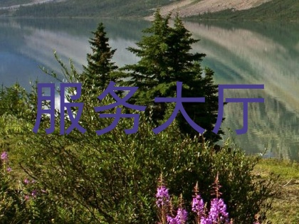 服务大厅
