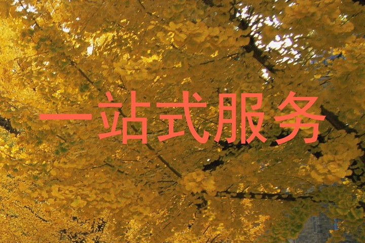 一站式服务