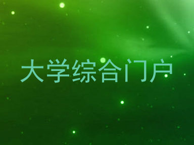 大学综合门户
