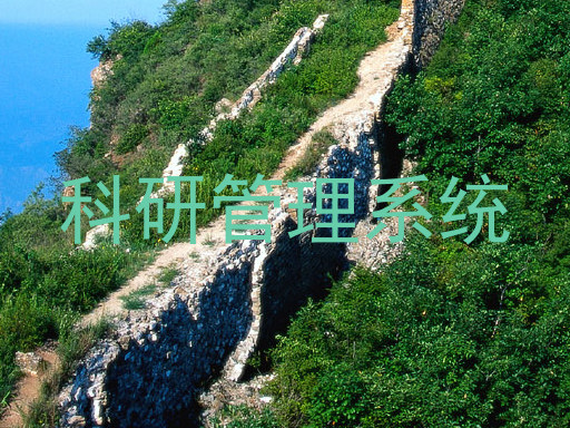 科研管理系统