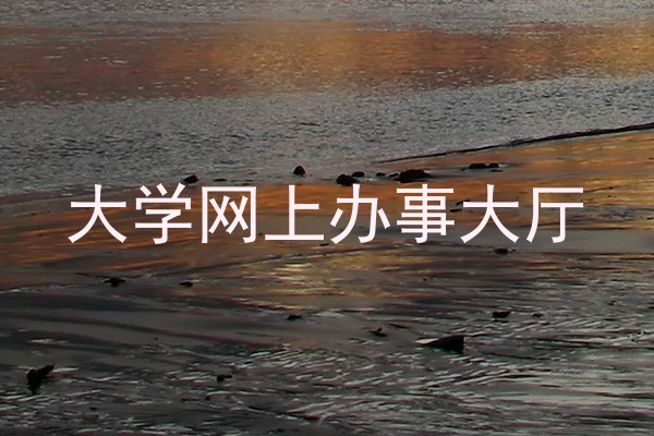 大学网上办事大厅