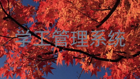 学工管理系统
