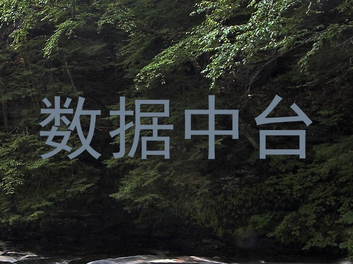 数据中台