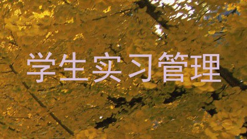 学生实习管理