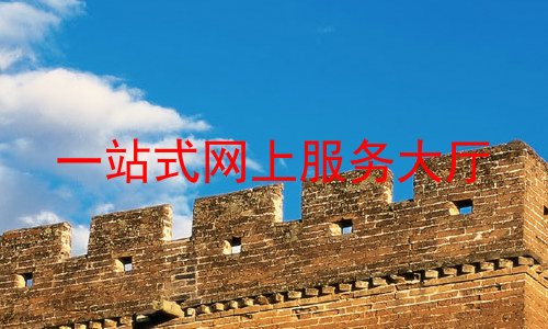 一站式网上服务大厅