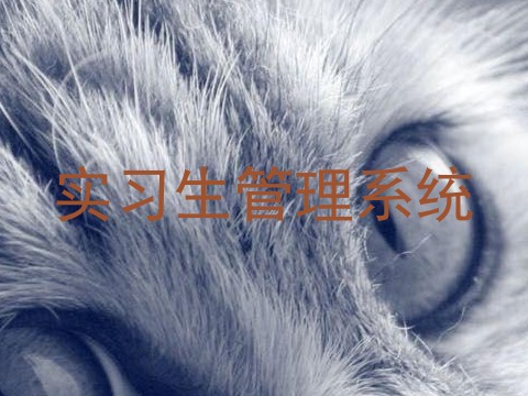 实习生管理系统
