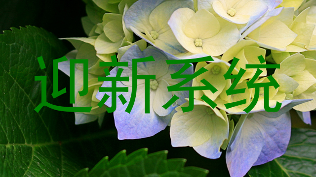 迎新系统