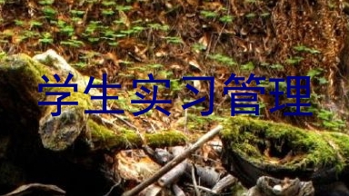 学生实习管理