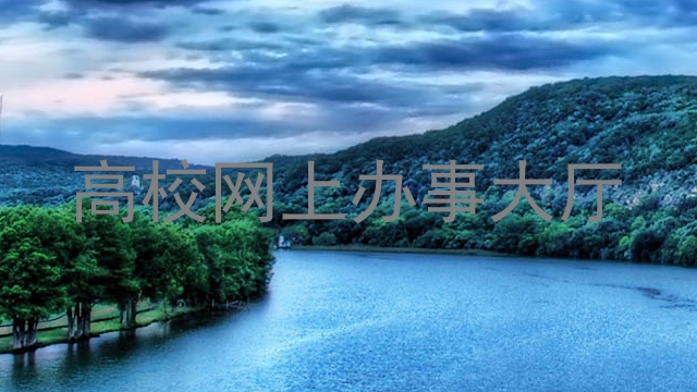 高校网上办事大厅
