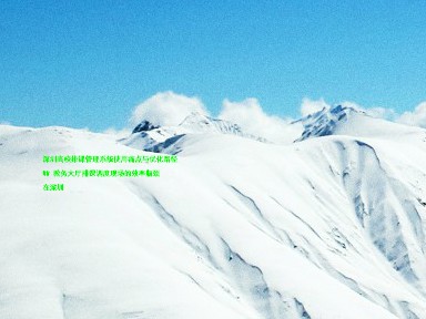 深圳高校排课管理系统使用痛点与优化路径  

## 教务大厅排课调度现场的效率瓶颈  

在深圳