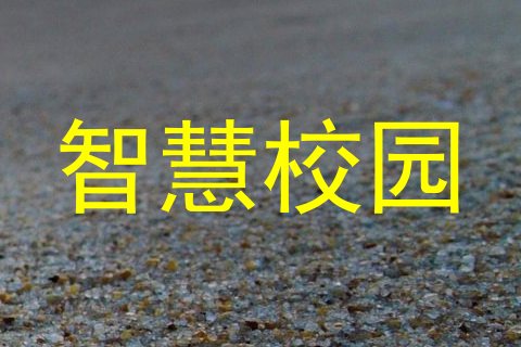 智慧校园