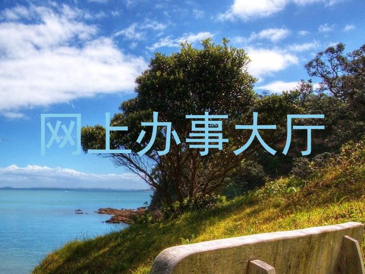 网上办事大厅