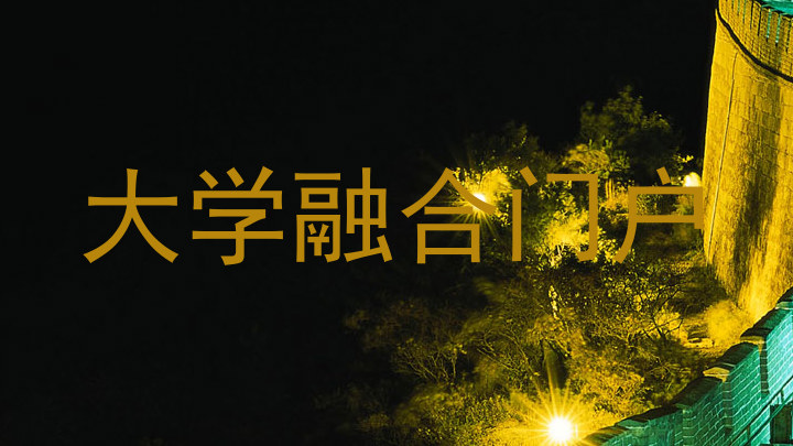 大学融合门户
