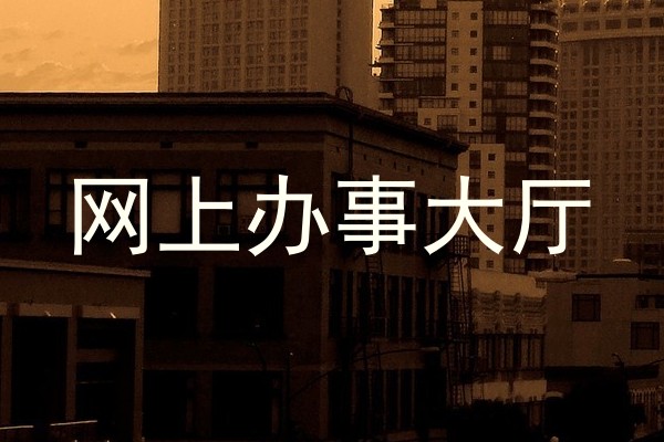 网上办事大厅