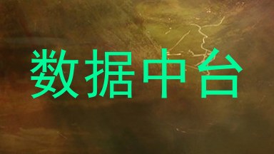 数据中台