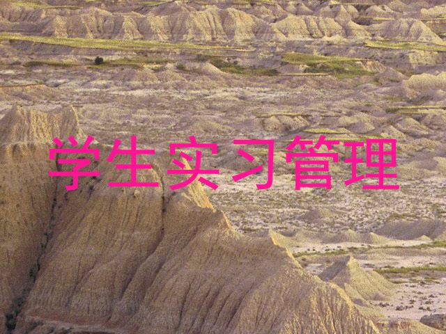 学生实习管理