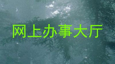 网上办事大厅