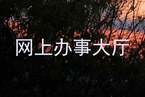 网上办事大厅