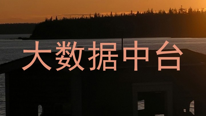 大数据中台