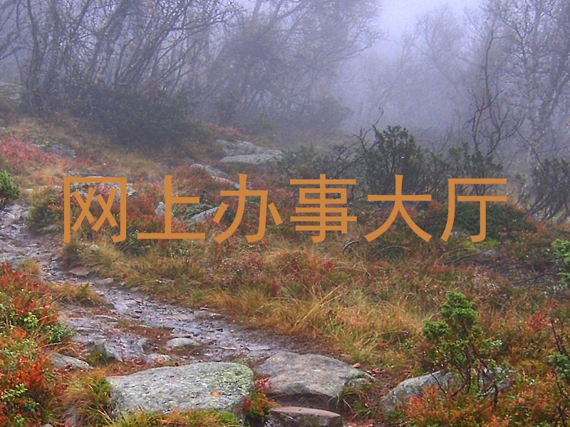 网上办事大厅