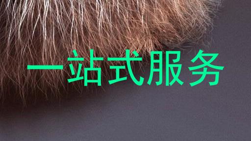 一站式服务