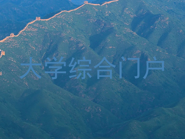 大学综合门户