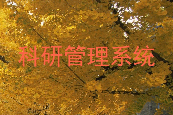科研管理系统