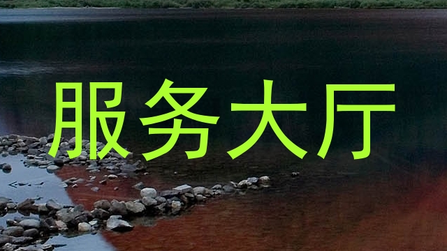 服务大厅