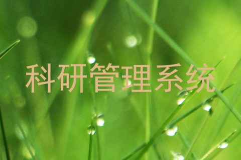 科研管理系统