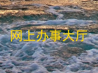 网上办事大厅