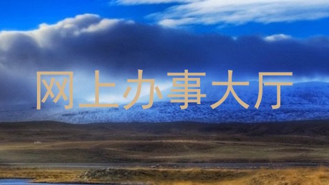 网上办事大厅