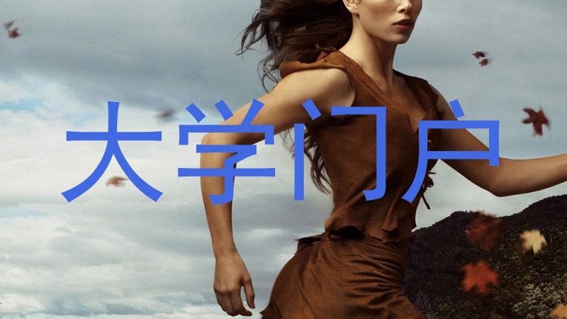 大学门户