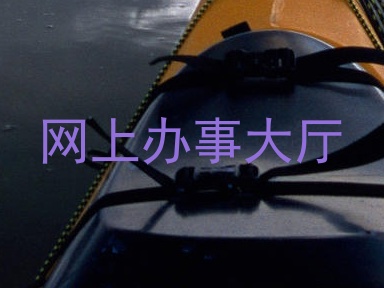 网上办事大厅