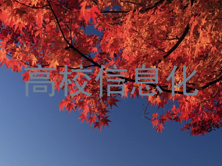 高校信息化